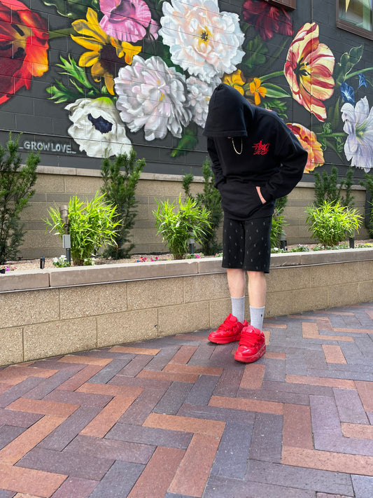 TJB Long Sleeve Hoodie