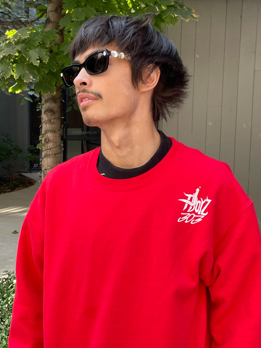 Long Sleeve “Bat Wing” Sweater