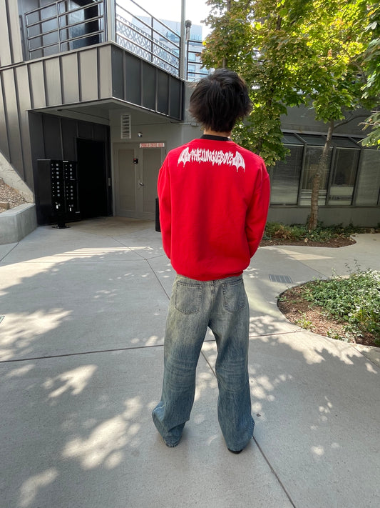 Long Sleeve “Bat Wing” Sweater